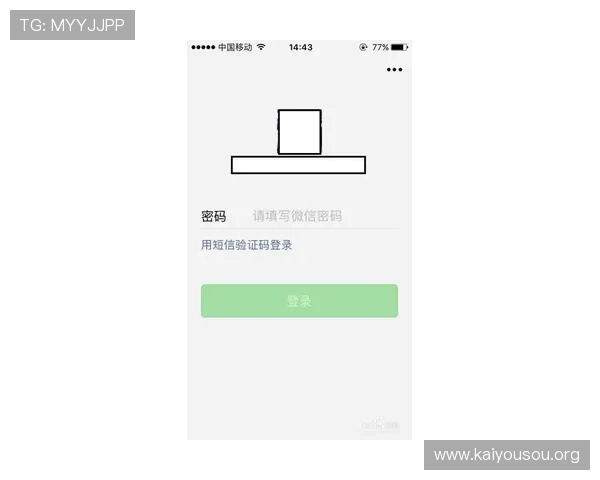 凯发网上登录入口安全登录指南，保障个人信息安全，避免账号被盗的实用技巧
