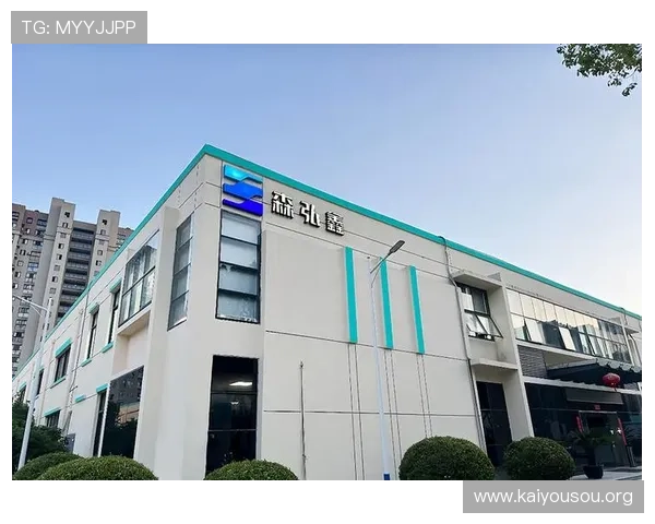 凯发k8国际首页网页版支持多设备无缝切换提供优质的用户体验与全天候的客户服务保障
